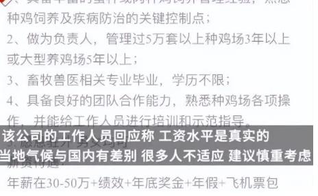 月薪4万招人去非洲养鸡?企业回应 真相简直太惊人了