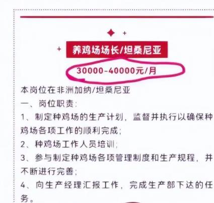 月薪4万招人去非洲养鸡?企业回应 到底是什么情况?