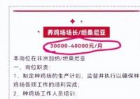 月薪4万招人去非洲养鸡?企业回应 到底是什么情况?