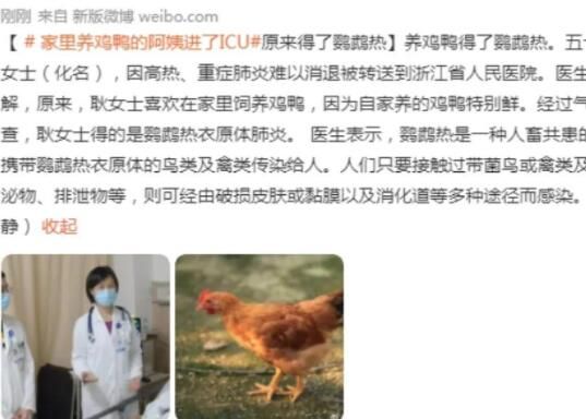 女子喜欢养鸡鸭患鹦鹉热住进ICU 到底是什么情况?