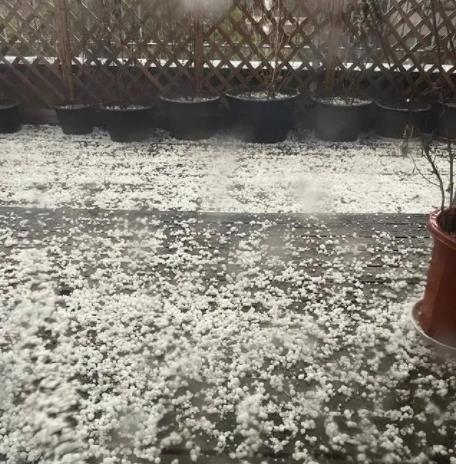 密集落下!实拍北京多地突降冰雹 狂风大作雨水中夹着冰雹