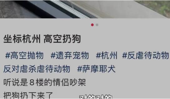 派出所回应杭州高空扔狗事件 为什么这么做原因是什么?