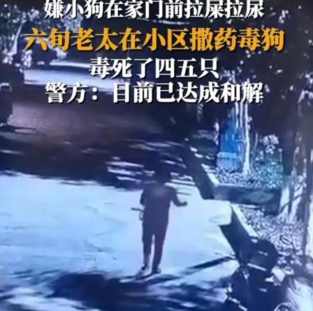 女子疑在小区内撒药致多条狗死亡 背后原因简直惊呆了众人