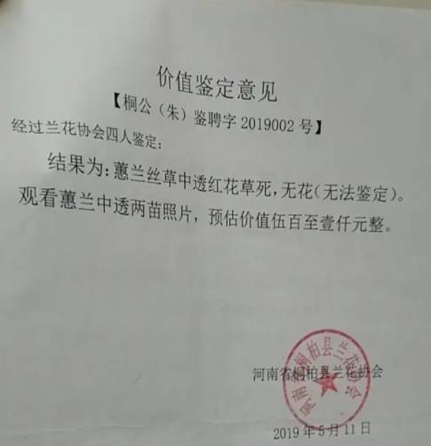 农妇掐走两枝兰花被判三缓四 真相曝光简直太惊人了