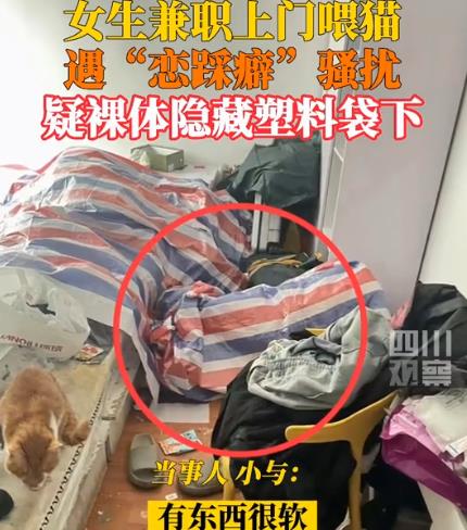 女生兼职上门喂猫遭恋踩癖骚扰 实在是胆大妄为