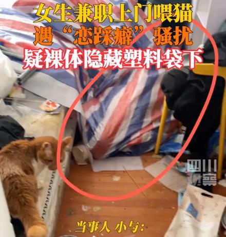 女生兼职上门喂猫遭恋踩癖骚扰 照片曝光实在是太吓人了