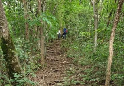 驴友爬山遭雷击:直挺倒下全身麻木 到底是什么情况? 