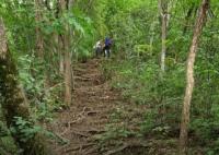 驴友爬山遭雷击:直挺倒下全身麻木 真相离奇让人直呼太意外