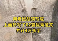 清朝作弊衣上用老鼠须抄了4万多字 真相曝光简直太惊人了