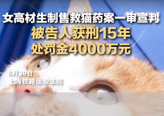 女高材生制售救猫药获刑15年 事件始末是什么?