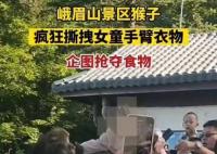 女童被峨眉山猴子撕拽抢夺食物 真相揭露真的令人大吃一惊