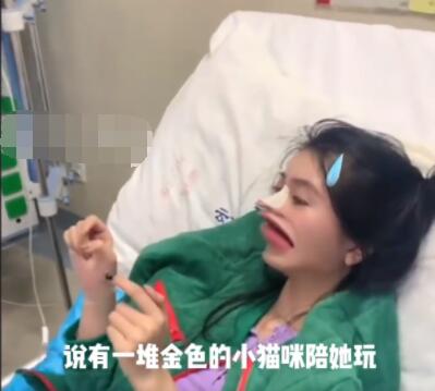 女生吃菌中毒 看见猫咪结婚 真相离奇让人直呼太意外