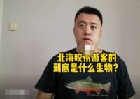 科普博主谈北海咬伤游客事件 真相曝光简直太惊人了