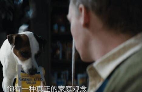 狗神2023什么时候上映