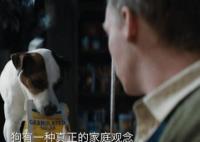 狗神2023什么时候上映